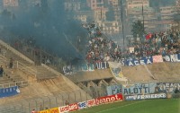 colz8889_2