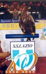 aquila