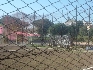 Ttor Marancia